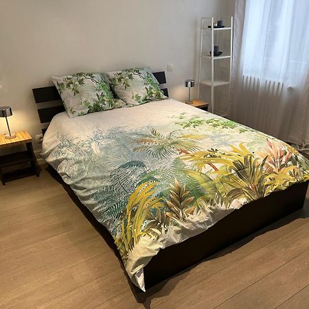 Salutho Otel Sélestat Dış mekan fotoğraf